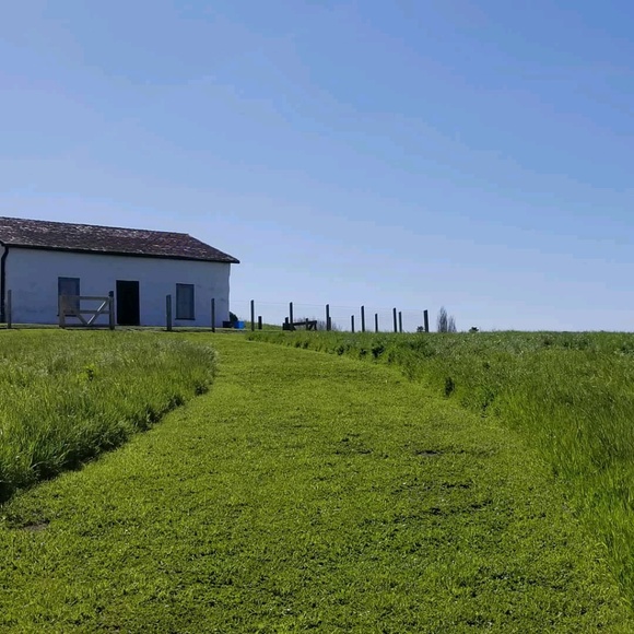 Meet your Posher, Megan - Picture 1 of 1